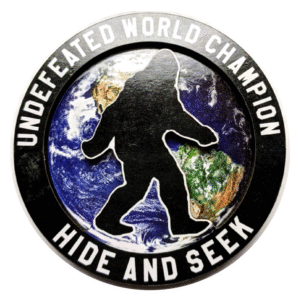 hide and seek magnet