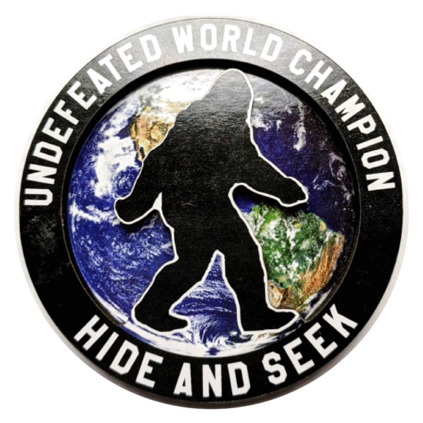 hide and seek magnet